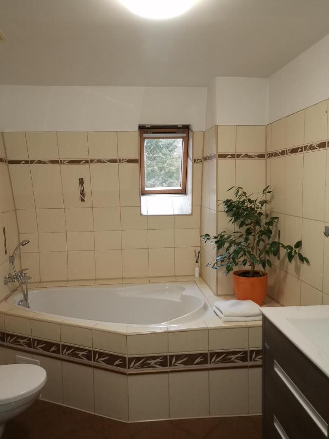 Apartmany Paseky - Jablonec Nad Nisou Extérieur photo